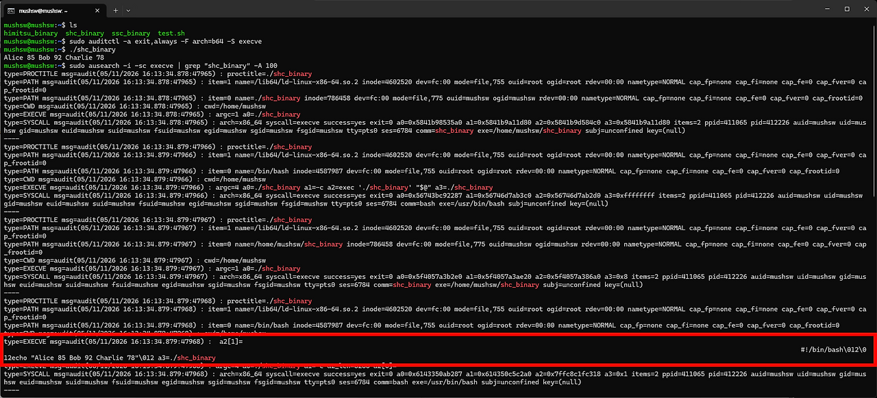 Shell script exposed in the terminal